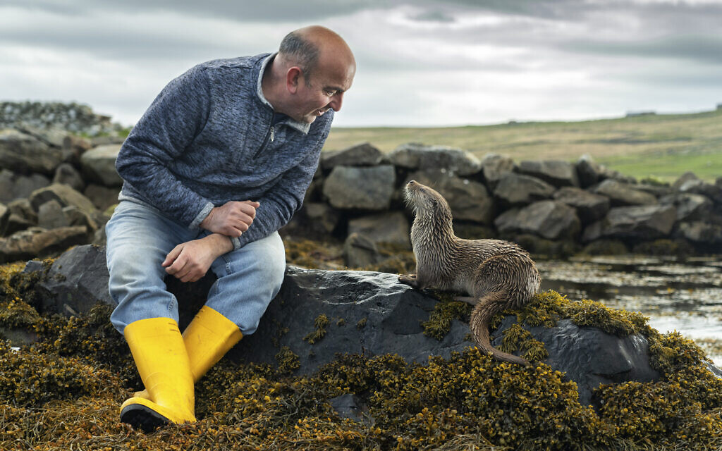 Extrait de « Billy and Molly : An Otter Love Story », projeté au festival du film Doc Aviv en mai 2024 (Crédit : National Geographic/Charlie Hamilton James) Extrait de « Billy and Molly : An Otter Love Story », projeté au festival du film Doc Aviv en mai 2024 (Crédit : National Geographic/Charlie Hamilton James)
