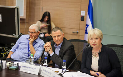 Le député Yuli Edelstein préside une rencontre de la Commission des Affaires étrangères et de la Défense à la Knesset, le 26 juin 2024. (Crédit :  Noam Moskowitz/Office of the Knesset Spokesperson)