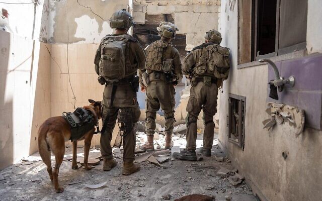 Des troupes de l'armée israélienne opérant dans la bande de Gaza, sur une photo publiée le 17 juin 2024. (Crédit : Armée israélienne)