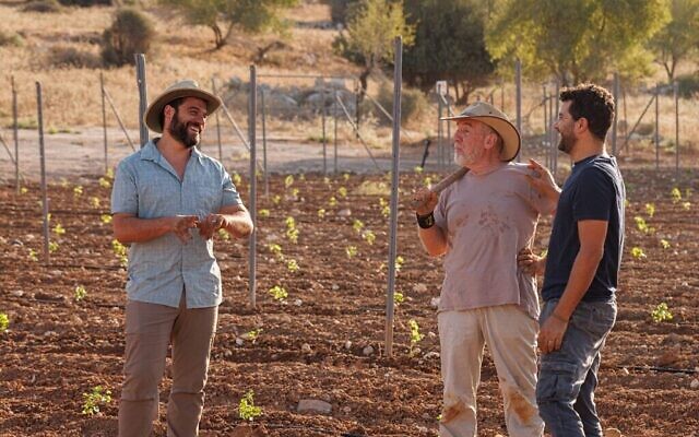 Eyal Drory (à gauche), Shuki Yashuv et Elad Katz, copropriétaires d'Agur Winery, organisent des dégustations de vin en juin 2024. (Autorisation)