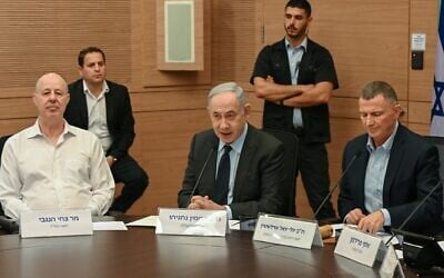 Le Premier ministre Benjamin Netanyahu (au centre) s'exprimant devant la commission des Affaires étrangères et de la Défense de la Knesset, le 3 juin 2024. (Crédit : Maayan Toaf/GPO)