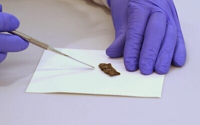 Tefillin datant d'environ 2 000 ans, dans les laboratoires de l'Autorité israélienne des Antiquités. (Crédit : Emil Aladjem/IAA)