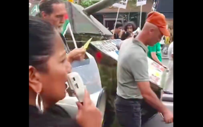 Capture d’écran d’une vidéo filmée lors d’une manifestation de soutien à la Palestine samedi 29 juin à Paris. (Crédit : X)