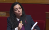 La députée Sophia Chikirou de La France Insoumise, à l'Assemblée nationale, en France. (Crédit: Capture d'écran YouTube)