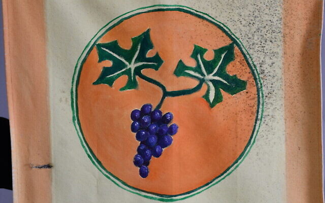 Détail du drapeau d'élèves de CP avec le symbole d'une vigne, récupéré au kibboutz Beeri, dans le sud d'Israël, le 6 décembre 2024. (Crédit : Sarit Uziely)