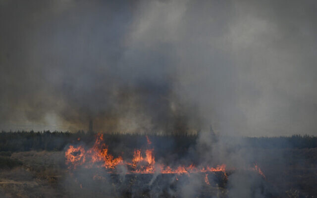 Pompiers et policiers sur le site d'un feu de forêt suite à une attaque de roquettes en provenance du Liban, au nord d'Israël, le 17 août 2024. (Michael Giladi/Flash90)