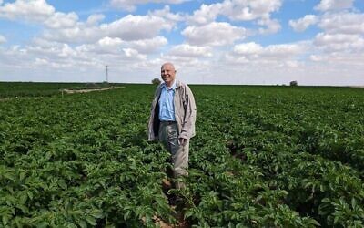 Le professeur émérite Haim Rabinowitch avec ses pommes de terre sur une parcelle d'observation du Neguev dans le sud d'Israël. (Ore Eldan, Rumafeed)