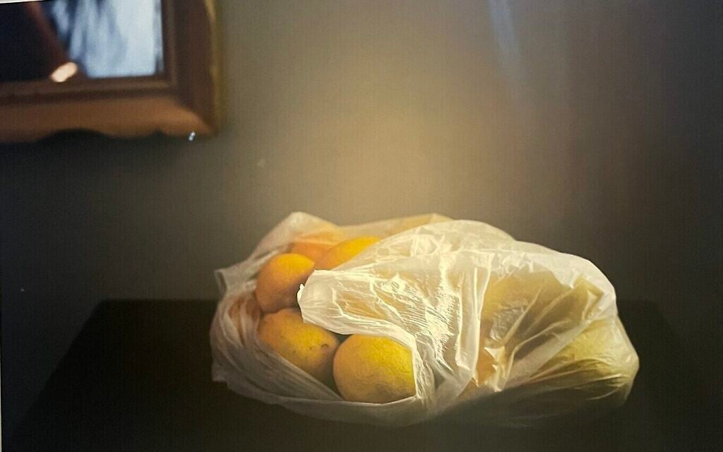 "Citrons en temps de guerre" d'Osnat Ben Dov, qui fait partie de l'exposition "I Don't Want to Forget" au Musée d'art de Tel Aviv, qui a ouvert ses portes en septembre 2024. (Crédit : Jessica Steinberg/Times of Israel).