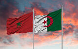 Drapeau du Maroc et de l'Algérie. (Crédit :  issam elhafti via iStock)