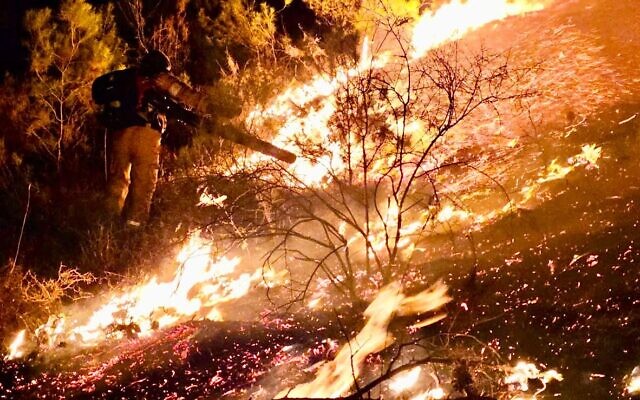 Des équipes de pompiers s'efforcent d'éteindre un incendie dans la forêt de Birya, au nord de Safed, suite à un tir de roquette du Hezbollah, le 13 septembre 2024. (Crédit : Services d'incendie et de secours israéliens)