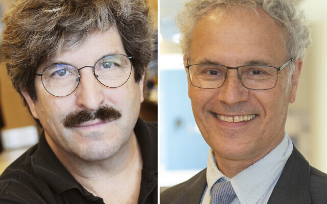 Le biologiste moléculaire américain Gary Ruvkun, à gauche, et le professeur de médecine moléculaire et titulaire de la chaire de sciences naturelles de l'UMass, Victor Ambros, sur des photos non datées. (Crédit : Joshua Touster et UMass via AP) Le biologiste moléculaire américain Gary Ruvkun, à gauche, et le professeur de médecine moléculaire et titulaire de la chaire de sciences naturelles de l'UMass, Victor Ambros, sur des photos non datées. (Crédit : Joshua Touster et UMass via AP)