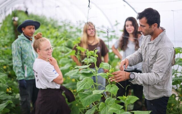 Des jeunes se forment à l'agriculture grâce à HaShomer HaChadash (Crédit : HaShomer HaChadash)