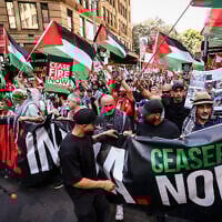 Des manifestants anti-Israël tenant des pancartes et des drapeaux alors qu'ils marchent dans le centre de Sydney, en Australie, le 6 octobre 2024. (Crédit : David Gray/AFP)
