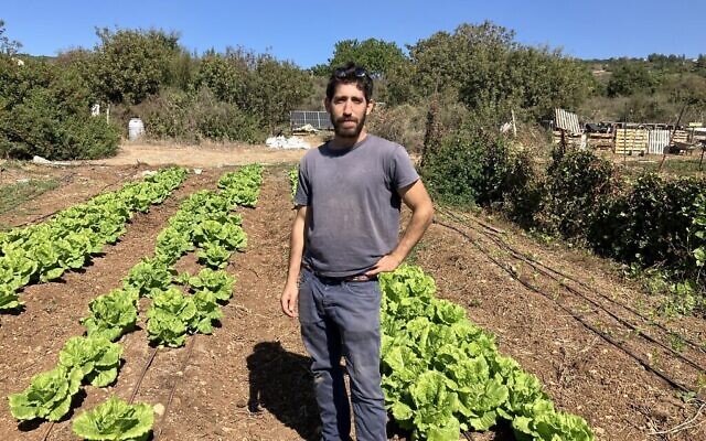 Raanan Ram, propriétaire et exploitant d'une ferme bio à Klil, en Galilée occidentale, le 21 octobre 2024. (Diana Bletter/Times of Israel)