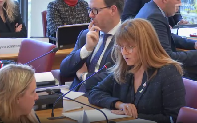 La députée des Français de l'étranger Caroline Yadan, lors d'une audition par la Commission des Affaires étrangères de l'Assemblée nationale, le 20 novembre 2024. (Capture d'écran Youtube / LCP - Assemblée nationale)