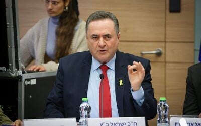 Le ministre de la Défense Israel Katz s'adressant à la commission des Affaires étrangères et de la Défense de la Knesset, le 21 janvier 2025. (Crédit : Noam Moskowitz/Bureau du porte-parole de la Knesset)