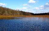 Etang Chapron, vue vers le nord-est depuis la digue, étangs de Commelles, Orry-la-Ville (Oise), le 19 mars 2021. (Crédit : Pierre Poschadel / CC BY-SA 4.0)