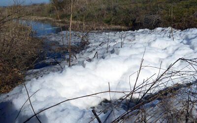 Les eaux usées contaminées par les égouts se déversant dans le ruisseau Shikma, dans le sud d'Israël. (Crédit : Atid LeOtef)