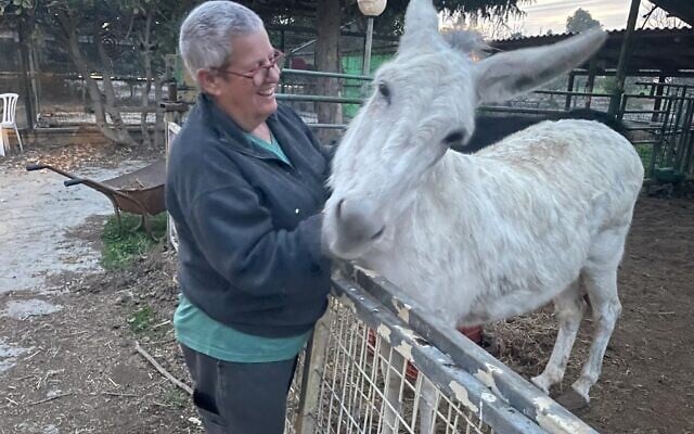 Edna Hefer fait un câlin à l'âne Messie dans le zoo pour enfants du kibboutz Nahal Oz, dans le sud d'Israël, le 16 janvier 2025. (Crédit : Sue Surkes/Times of Israel)