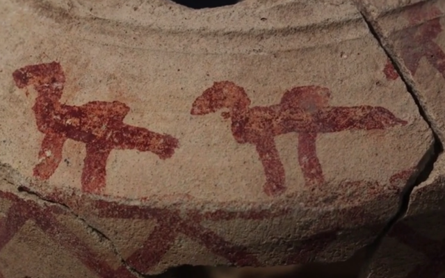 Des archéologues ont découvert une cruche en argile de 1200 ans représentant des chameaux dans la forêt de Yatir, dans le Neguev. (Crédit : Emil Aladejm/Autorité israélienne des Antiquités)