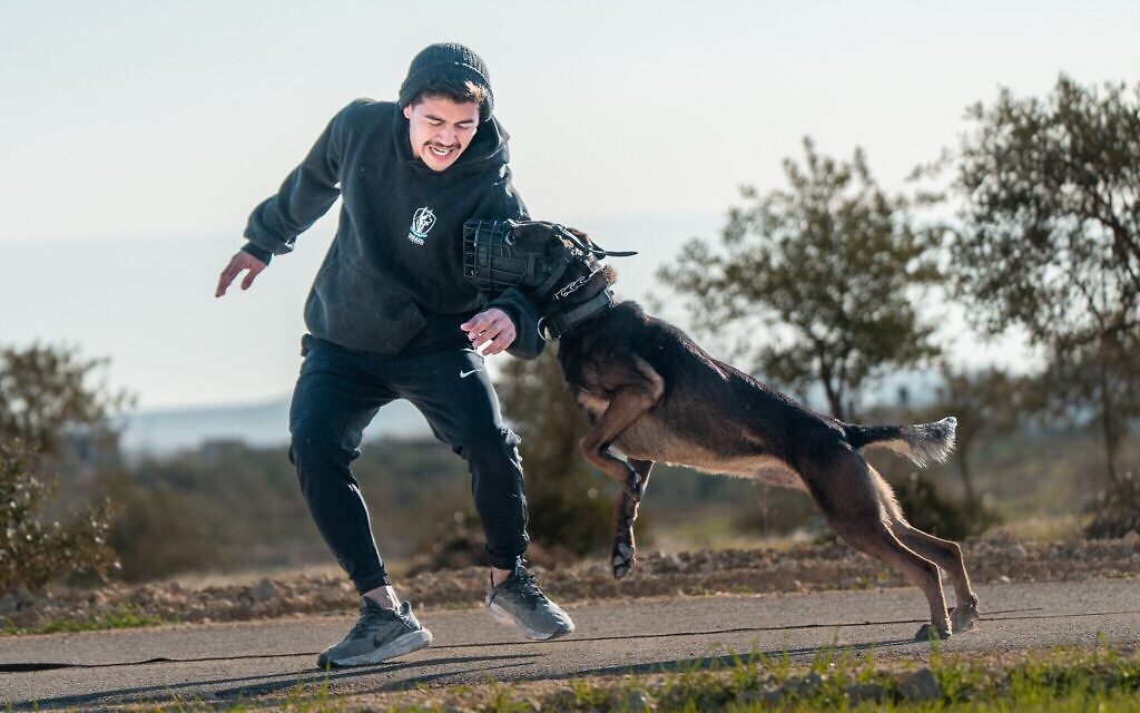 Un dresseur d'Israel Protection K9 avec l'un des chiens de la société. (Crédit : Autorisation)