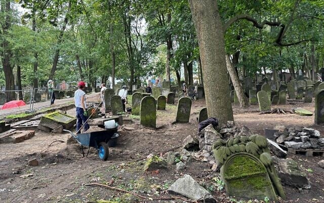 Des étudiants en archéologie polonais travaillant à l'excavation d'un cimetière juif, à Varsovie, en septembre 2024. (Crédit : Shira Li Bartov/JTA)