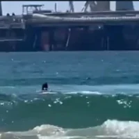 Un nageur est attaqué par un requin au large de Hadera le 21 avril 2025. (Crédit : Capture d'écran/X)