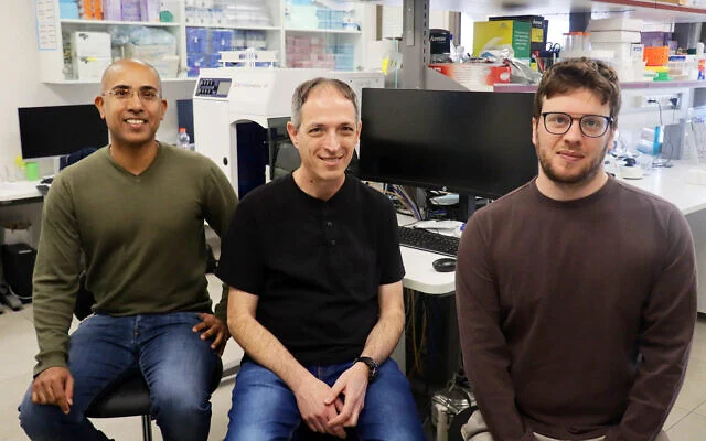Le professeur Asaf Madi, à gauche, le professeur Roded Sharan et le doctorant Ron Sheinin à l'Université de Tel Aviv. (Avec l'aimable autorisation de l'Université de Tel Aviv) Le professeur Asaf Madi, à gauche, le professeur Roded Sharan et le doctorant Ron Sheinin à l'Université de Tel Aviv. (Avec l'aimable autorisation de l'Université de Tel Aviv)