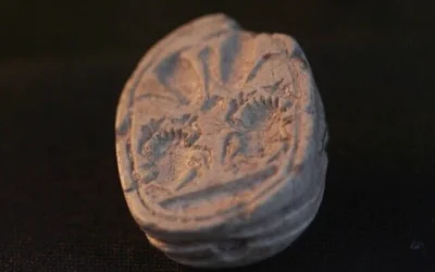 Ziv Nitzan, 3 ans, originaire du moshav Ramot Meïr, a trouvé une amulette représentant un scarabée cananéen datant de 3 800 ans, à Tel Azeka en mars 2025. (Crédit : Emil Aladjem/Autorité israélienne des Antiquités)