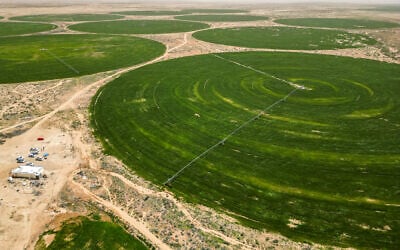 Du blé pousse dans des champs circulaires irrigués par des eaux souterraines près de la ville de Karbala, au centre de l'Irak, le 10 avril 2025. Aujourd'hui, les réservoirs d'eau souterraine permettent d'atténuer les pertes agricoles causées par la sécheresse, un phénomène déjà fréquent en Irak et aggravé par le réchauffement de la planète. (Crédit : Mohammed SAWAF / AFP)