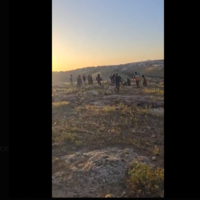 Capture d'écran montrant un Palestinien attaqué par un résident d'implantation dans les collines de Hébron, incident qui aurait blessé l'homme à la jambe, le 17 avril 2025. (Capture d'écran/X)