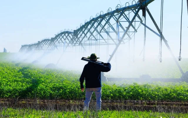 Irrigation des champs près de la frontière de Gaza, dans le sud d'Israël, le 19 décembre 2024. (Crédit : Moshe Shai/FLASH90) Irrigation des champs près de la frontière de Gaza, dans le sud d'Israël, le 19 décembre 2024. (Crédit : Moshe Shai/FLASH90)