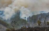Vue des dégâts causés par un important incendie qui s'est déclaré non loin du moshav Taoz, le 23 avril 2025. (Crédit : Avshalom Sassoni/Flash90)