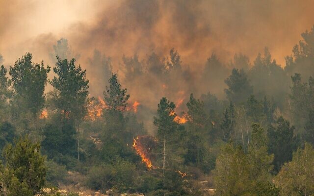 Les pompiers tentant d'éteindre un incendie déclaré à proximité du moshav Eshtaol, le 23 avril 2025. (Crédit : Chaïm Goldberg/Flash90) Les pompiers tentant d'éteindre un incendie déclaré à proximité du moshav Eshtaol, le 23 avril 2025. (Crédit : Chaïm Goldberg/Flash90)