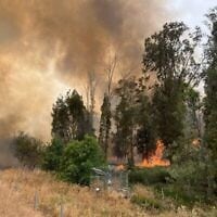 Un feu de forêt dans le centre d'Israël le 23 avril 2025 (Services d'incendie et de secours)