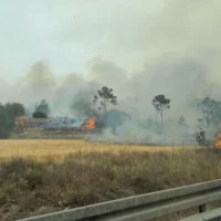 Un feu de forêt près de Moshav Tarum le 23 avril 2025 (Services d'incendie et de secours)