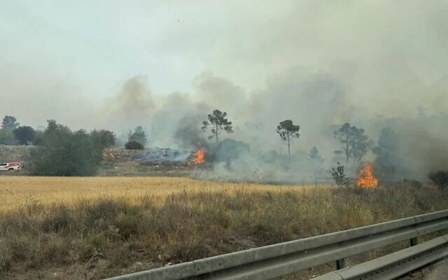 Un feu de forêt près de Moshav Tarum le 23 avril 2025 (Services d'incendie et de secours)