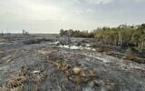 La réserve naturelle de Gibton Springs endommagée par un incendie, sur une photo non datée. (Crédit : Autorité régionale de Gezer)