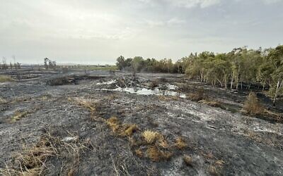 La réserve naturelle de Gibton Springs endommagée par un incendie, sur une photo non datée. (Crédit : Autorité régionale de Gezer)