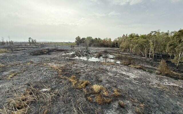La réserve naturelle de Gibton Springs endommagée par un incendie, sur une photo non datée. (Crédit : Autorité régionale de Gezer)