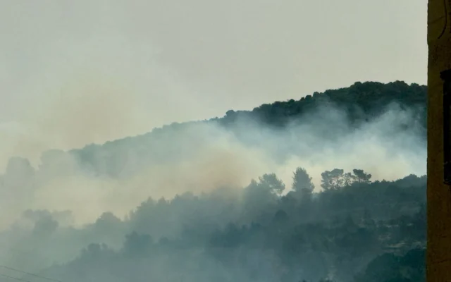 Un incendie dans les collines de Jérusalem, près de la ville de Bet Shemesh, le 18 avril 2025. (Crédit : Service des incendies et des secours)