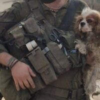 Billy l'épagneul dans les bras d'un soldat israélien, à Gaza, en avril 2025. (Crédit : Réseaux sociaux)