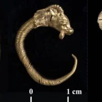 Une boucle d'oreille et une perle de la période hellénistique découvertes dans la Cité de David. (Crédit : Clara Amit, Autorité des antiquités d'Israël)