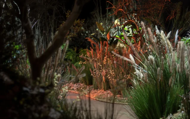 « The Garden » au Musée d'art de Tel Aviv par Yael Moria Studio MA (Crédit : Daniel Henoch)