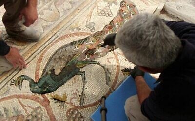 Cette mosaïque datant de plus de 1 600 ans découverte dans un monastère byzantin a été restaurée et est exposée pour la première fois au siège du Conseil régional de Merhavim, dans le Neguev occidental, a annoncé l'Autorité des antiquités d'Israël le 27 mai 2025. (Emil Aladjem/Autorité des antiquités d'Israël)