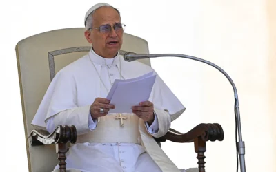 Le pape Léon XIV prononce un discours lors de l'audience hebdomadaire organisée sur la place Saint-Pierre au Vatican, le 28 mai 2025. (Crédit : Andreas SOLARO / AFP)