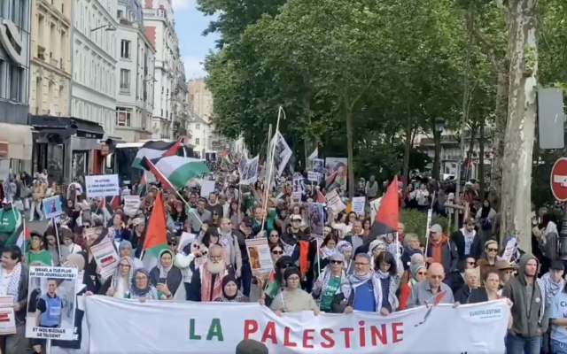 Une manifestation pour la 77e Nakba, à Paris, le 17 mai 2025. (Crédit : Capture d’écran X/@Citoyen_Alexis)