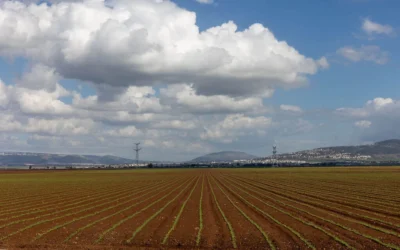 Champs agricoles du nord d'Israël, le 13 février 2025. (Crédit : Yossi Aloni/FLASH90)