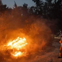 Un pompier tente d'éteindre un gigantesque incendie de forêt à Canada Park, à l'ouest de Jérusalem, le 30 avril 2025. (Crédit : Yonatan Sindel/Flash90)