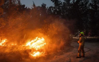 Un pompier tente d'éteindre un gigantesque incendie de forêt à Canada Park, à l'ouest de Jérusalem, le 30 avril 2025. (Crédit : Yonatan Sindel/Flash90)